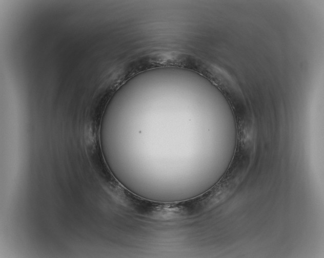 X0000110690607200906191509