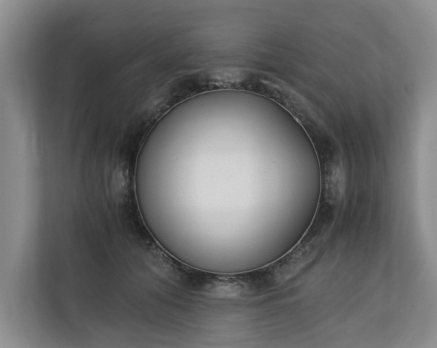 X0000110690608200906191509