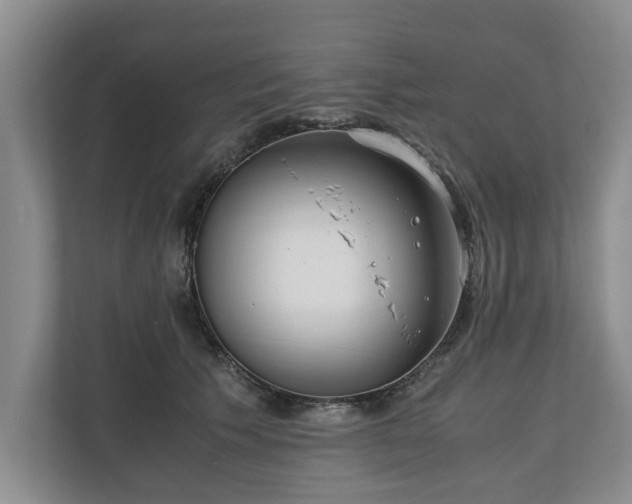 X0000110690609200906191509