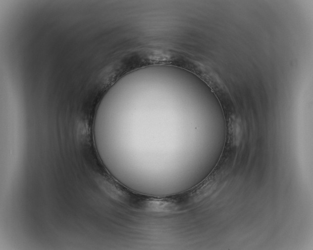 X0000110690614200906191509