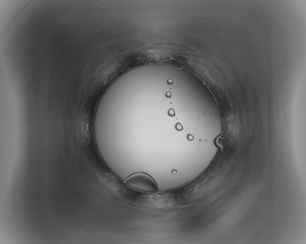 X0000110690615200906191509