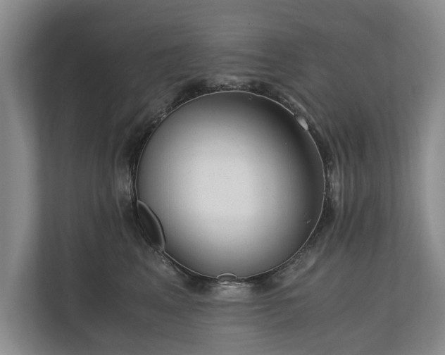 X0000110690617200906191508