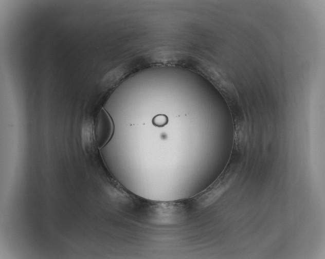 X0000110690623200906191508