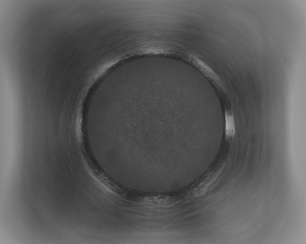 X0000110690627200906191508