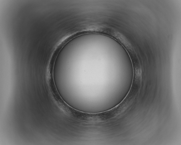 X0000110690628200906191508