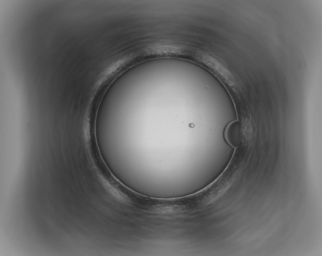 X0000110690629200906191508