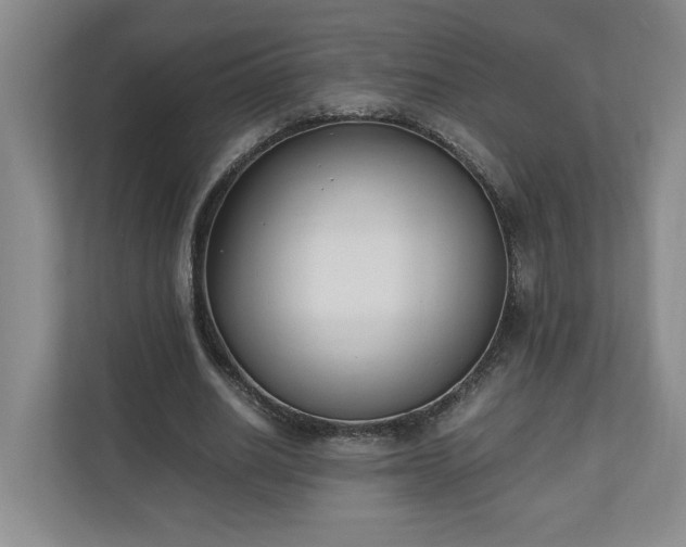 X0000110690630200906191508