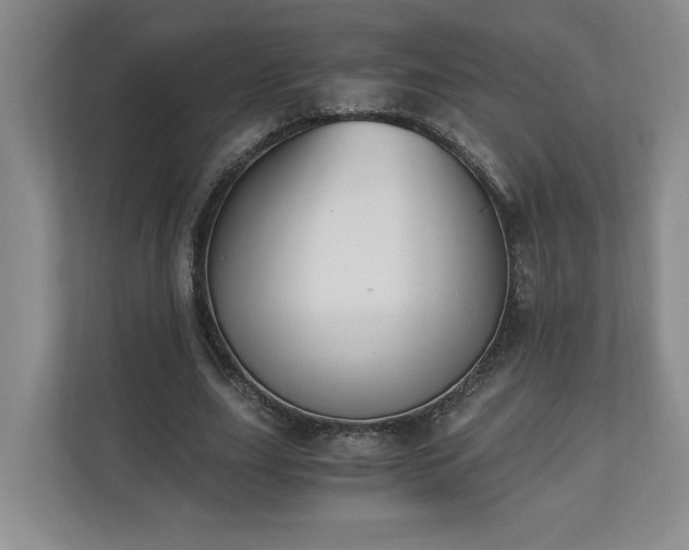 X0000110690631200906191508