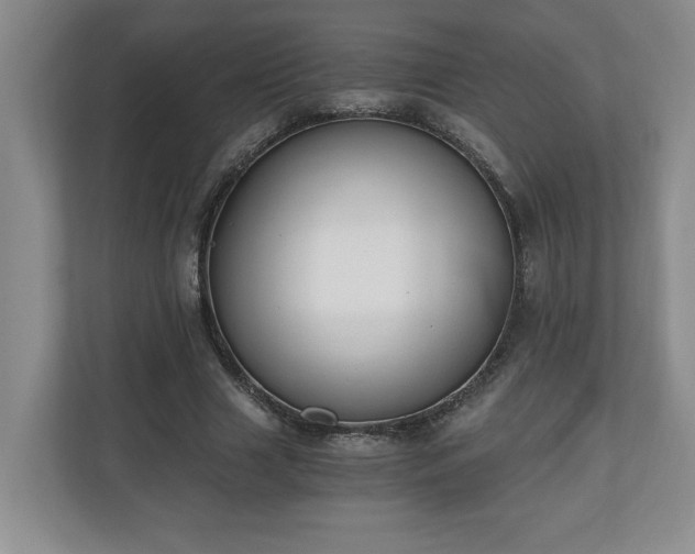 X0000110690633200906191508