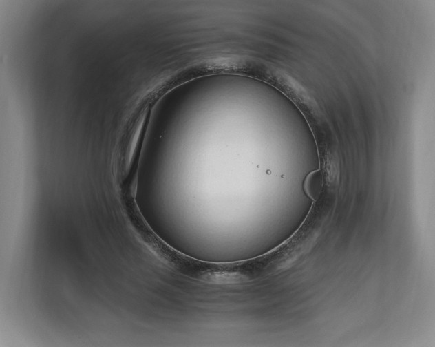 X0000110690637200906191508