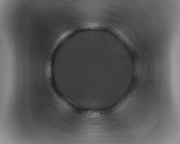 X0000110690640200906191508