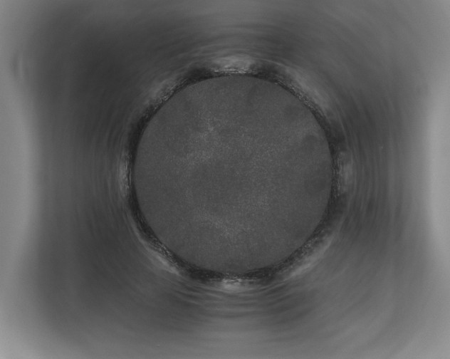 X0000110690641200906191508