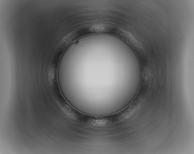 X0000110690645200906191508