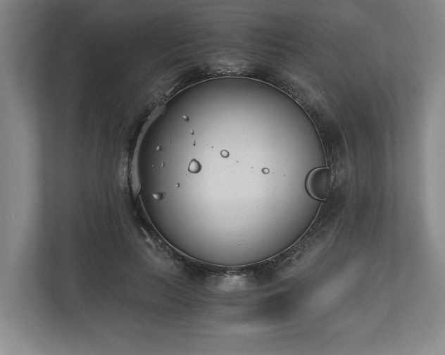 X0000110690647200906191508