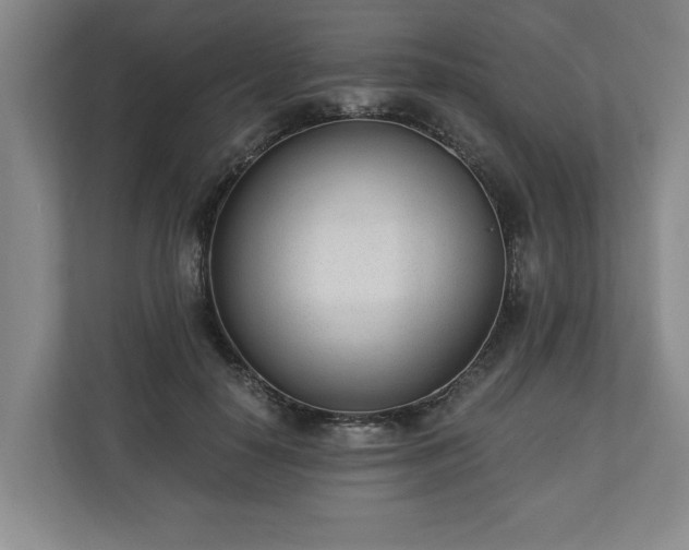 X0000110690650200906191508