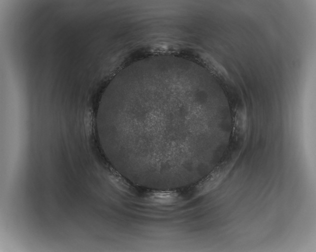 X0000110690659200906191508