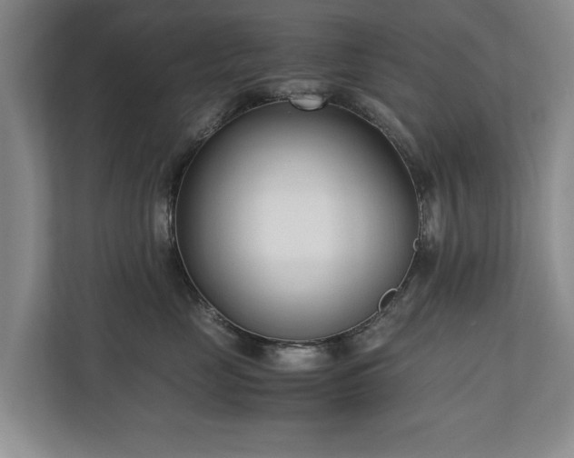 X0000110690669200906191508