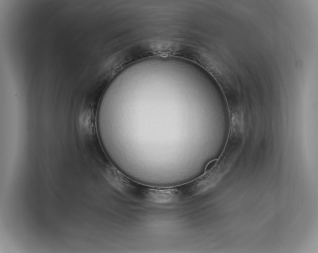 X0000110690671200906191508