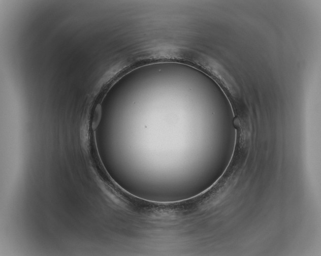 X0000110690677200906191508