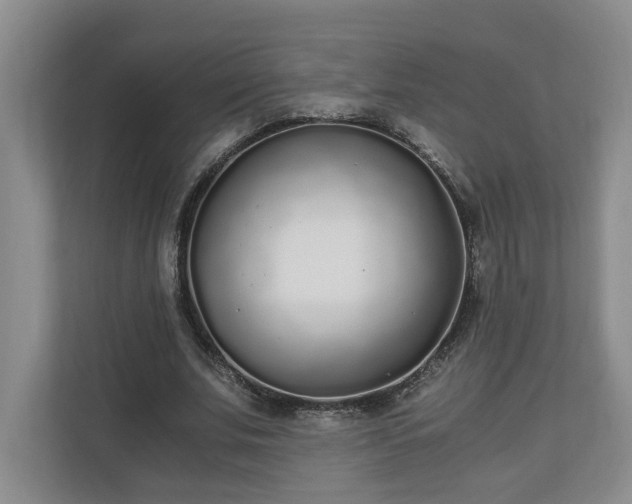 X0000110690679200906191508