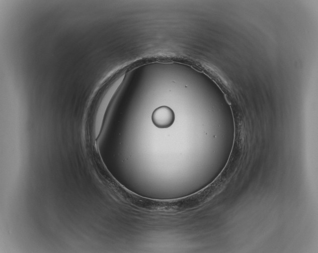 X0000110690680200906191508