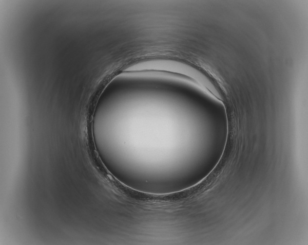 X0000110690681200906191508