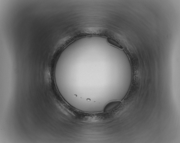 X0000110690688200906191508