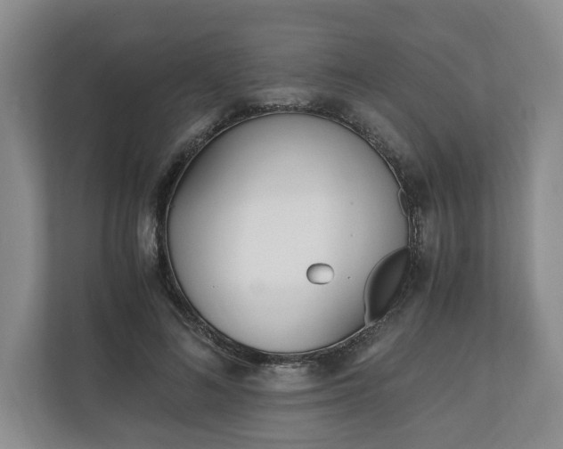 X0000110690692200906191508