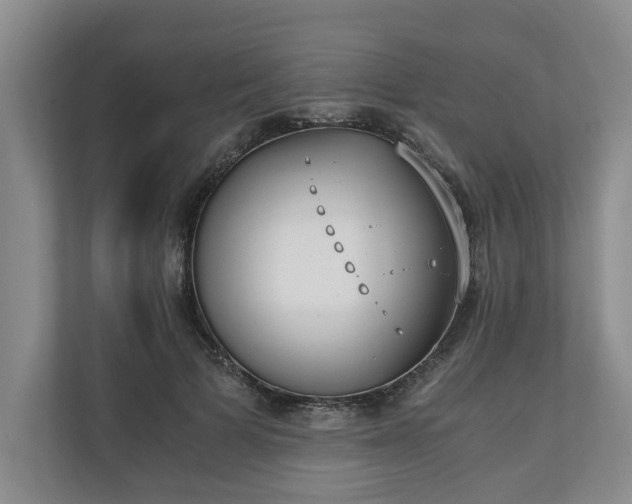 X0000110690697200906191507