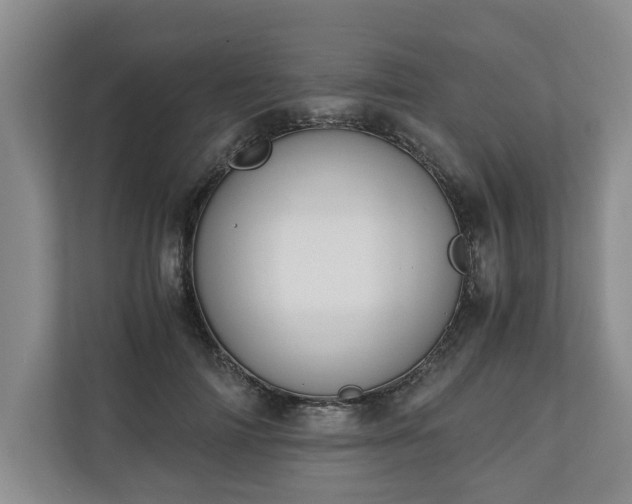 X0000110690698200906191507