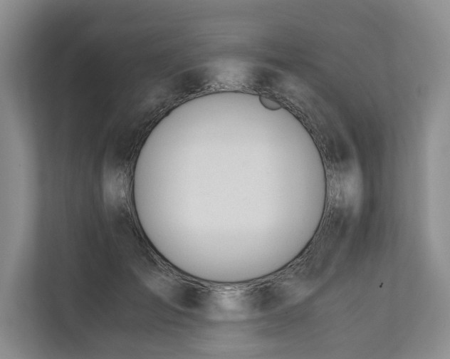 X0000110690701200906191507