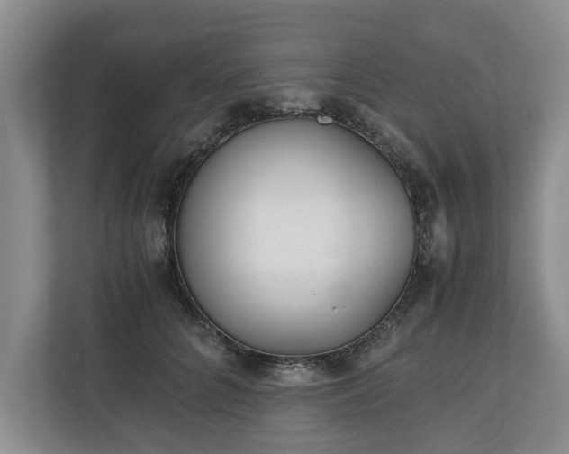 X0000110690704200906191507