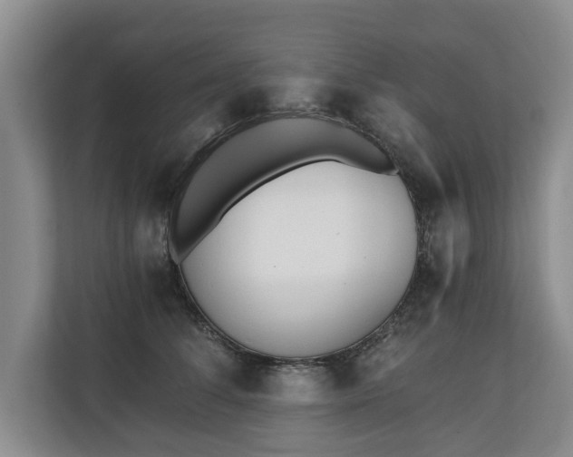 X0000110690708200906191507