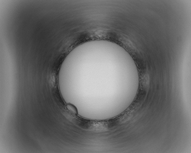 X0000110690709200906191507