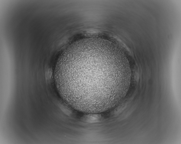 X0000110690711200906191507