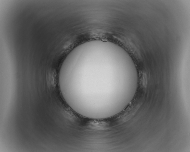 X0000110690712200906191507