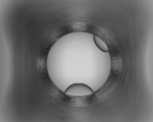 X0000110690713200906191507