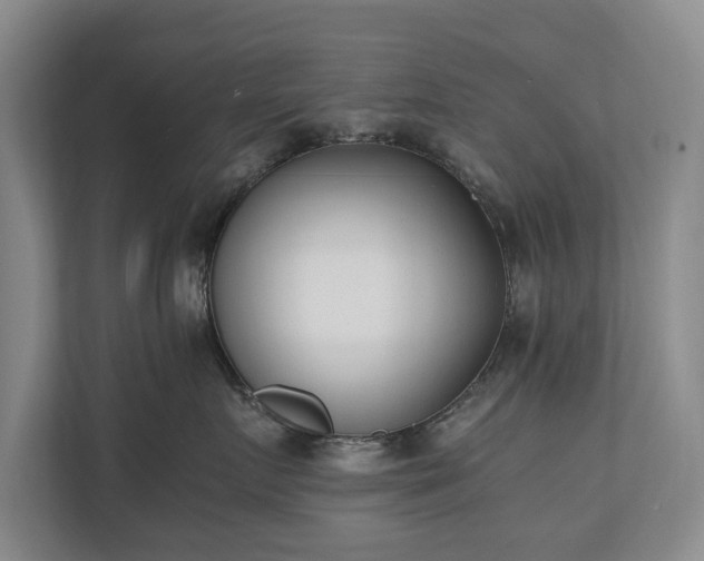 X0000110690719200906191507