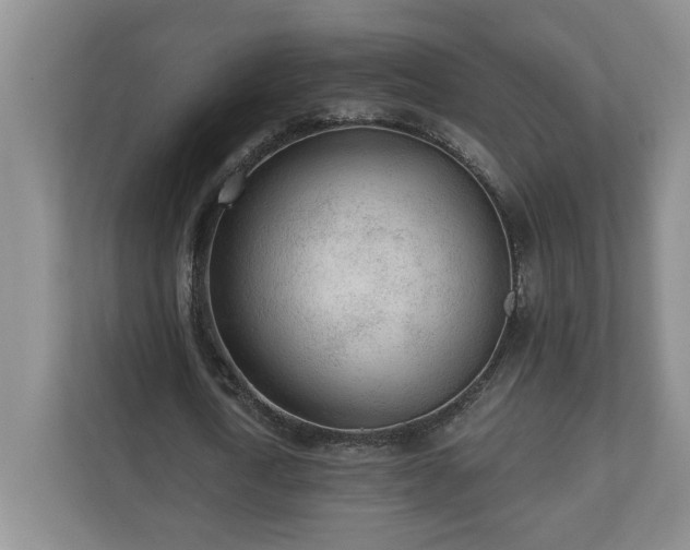 X0000110690722200906191507