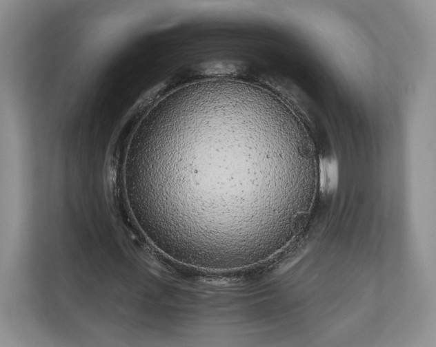 X0000110690723200906191507