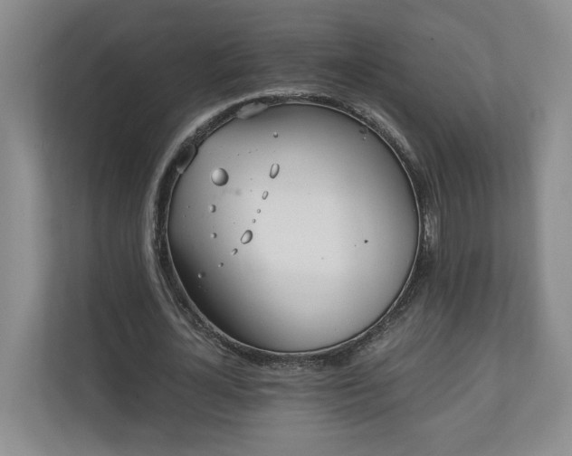 X0000110690724200906191507