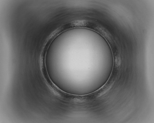 X0000110690725200906191507