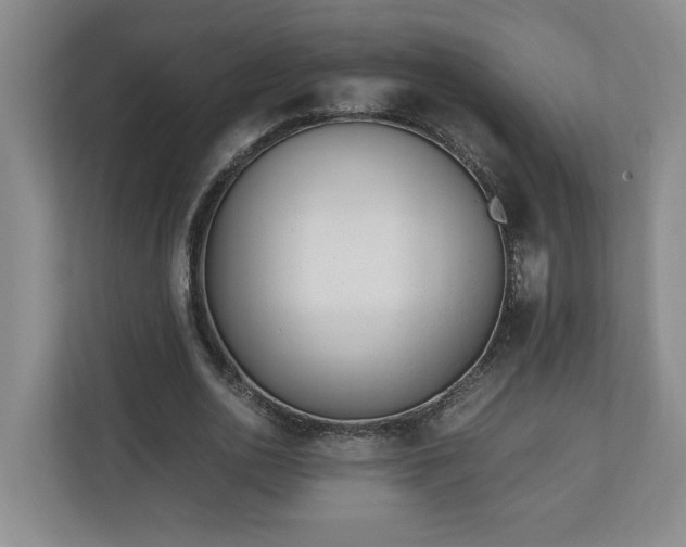 X0000110690726200906191507