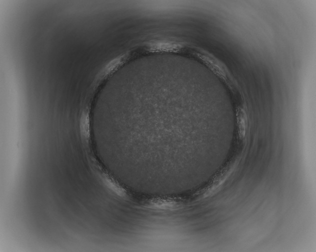 X0000110690729200906191507