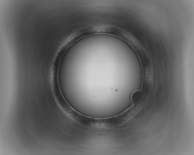 X0000110690730200906191507