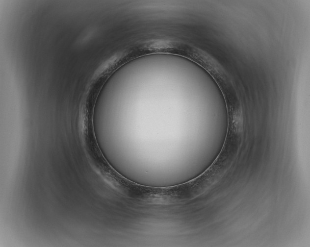 X0000110690732200906191507