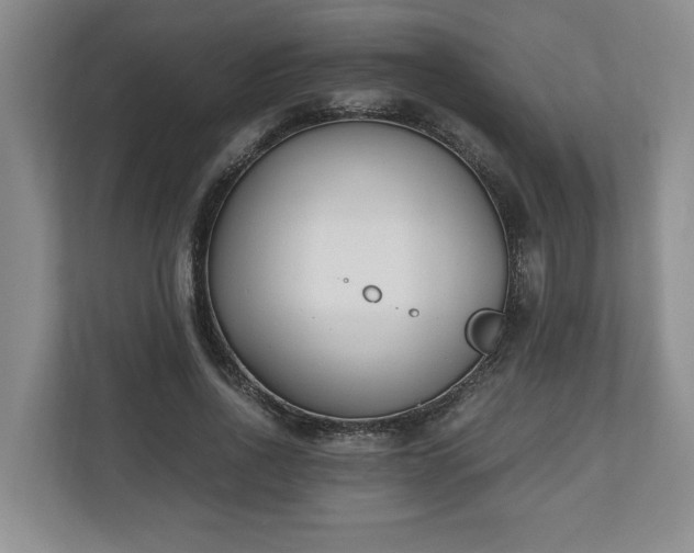 X0000110690734200906191507