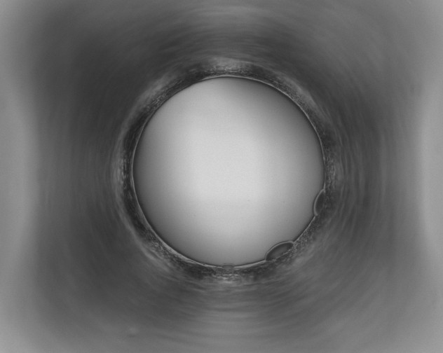 X0000110690736200906191507