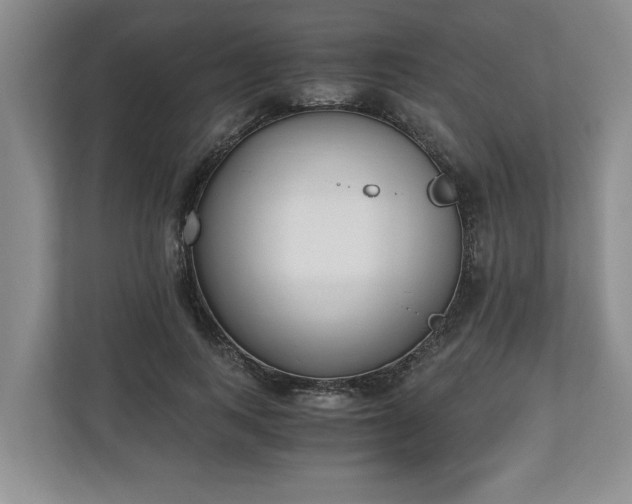 X0000110690743200906191507