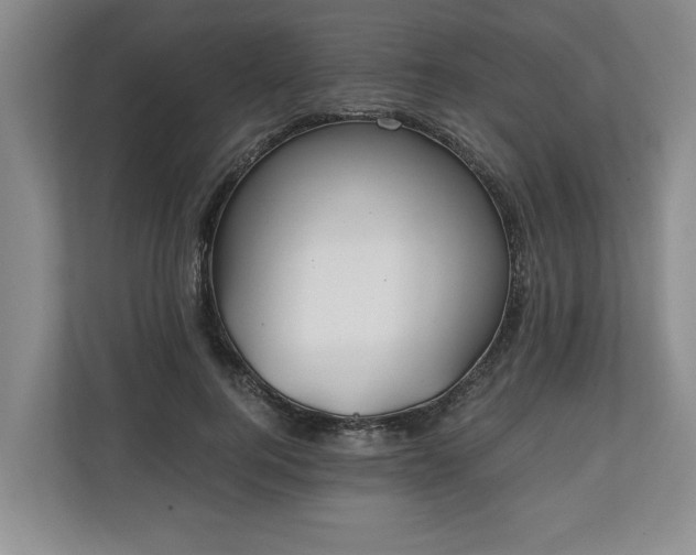 X0000110690744200906191507